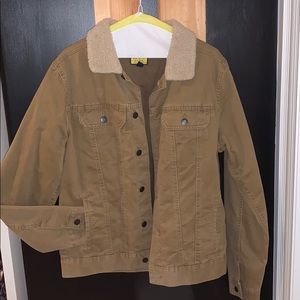 Prince fox medium brown jacket